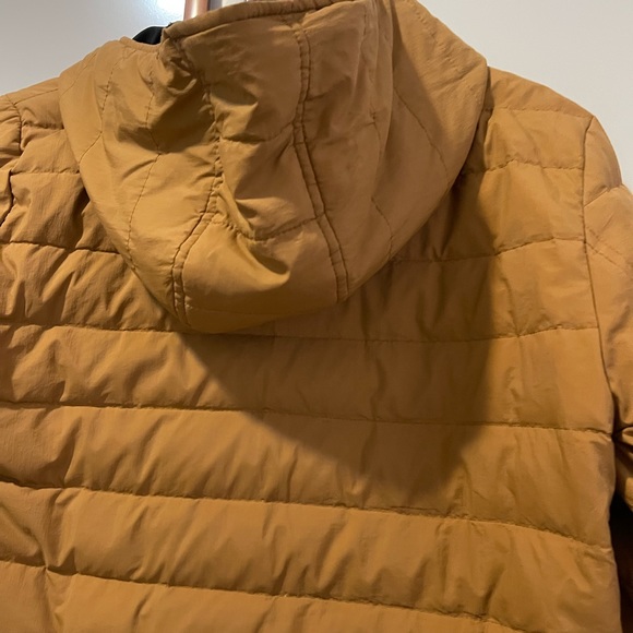 Coat & Jacket - Picture 2 of 6